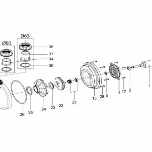 Гайка кришки префільтра насоса QP Starpump Pro (11000458)