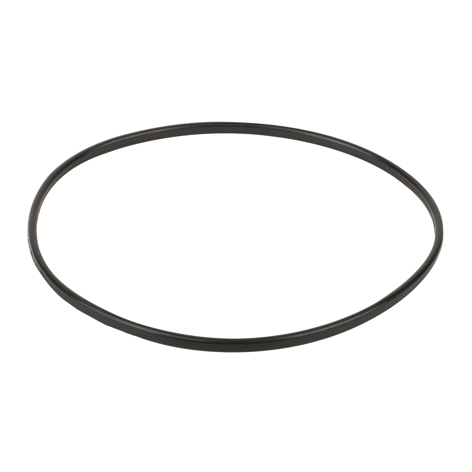 Ущільнювальне кільце до притискного фланця корпуса насоса Emaux SC (02011089) 1 Ущільнювальне кільце до притискного фланця корпуса насоса Emaux SC (02011089)