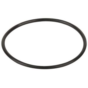 Ущільнююче кільце кришки префільтра насоса Hayward K-FLO (RPUM0003.09R)