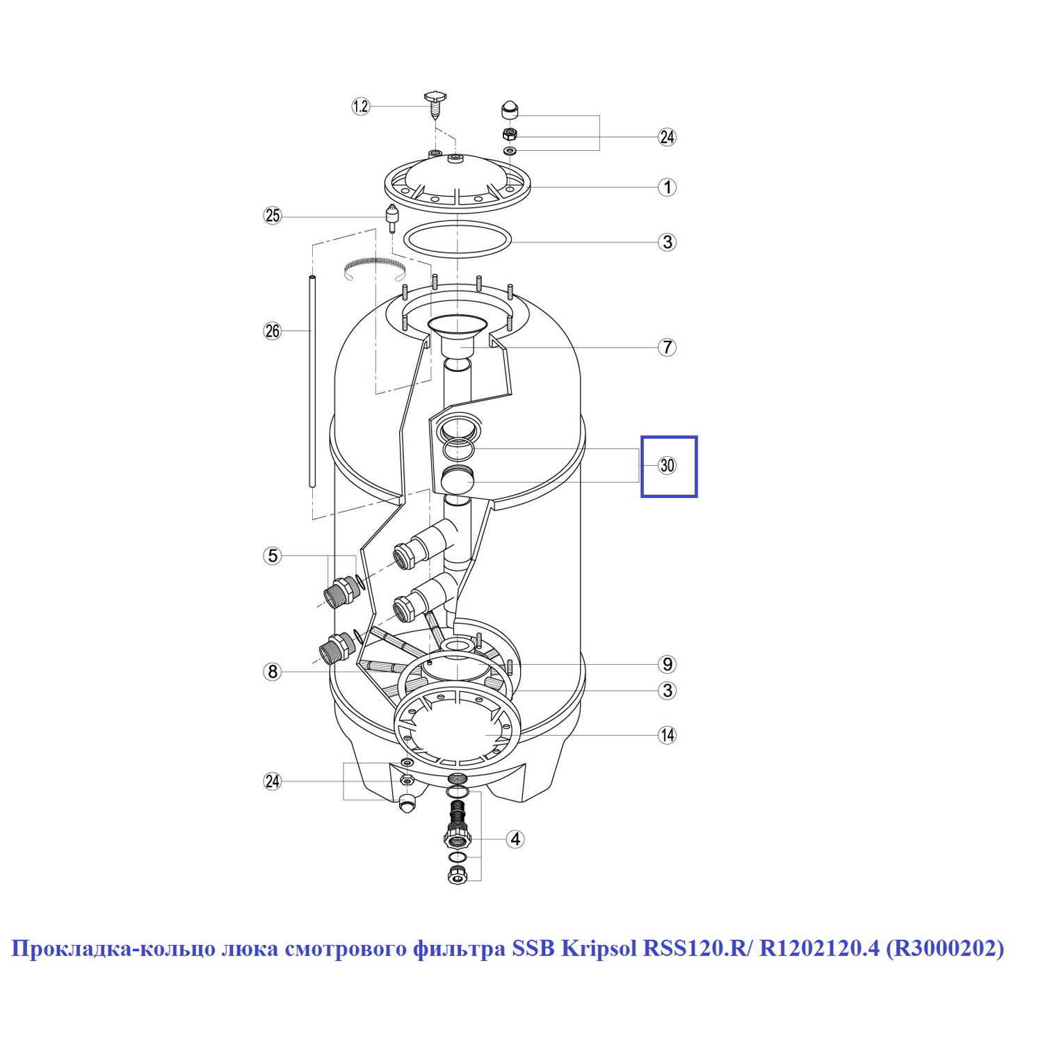 Прокладка-кільце оглядового люка фільтра SSB Kripsol RSS120.R/ R1202120.4 (R3000202) 2 Прокладка-кільце оглядового люка фільтра SSB Kripsol RSS120.R/ R1202120.4 (R3000202)
