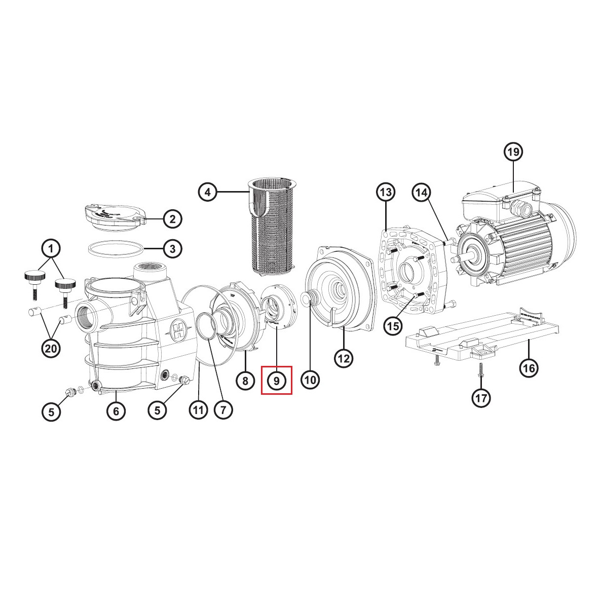 Крильчатка для насосів Hayward Max-Flo/PowerLine Plus 1.5 НР (SPX1616CEX) 2 Крильчатка для насосів Hayward Max-Flo/PowerLine Plus 1 НР (SPX1611CEX)